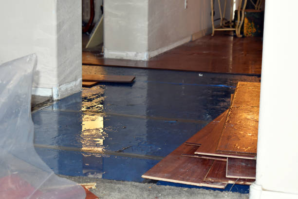Professional Basement Flood Cleanup technician working in Newton Upper Falls, MA